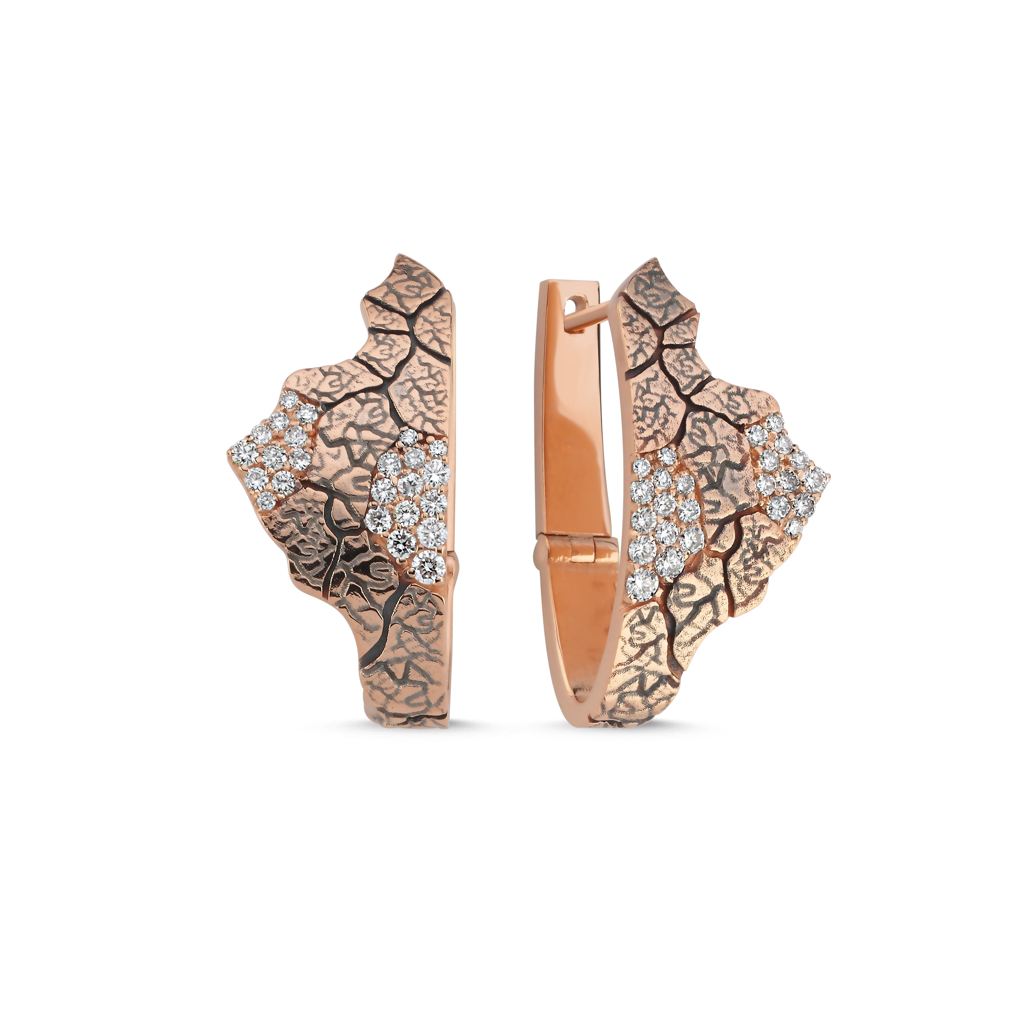 MOTHER NATURE -Terra Fragment Earrings
