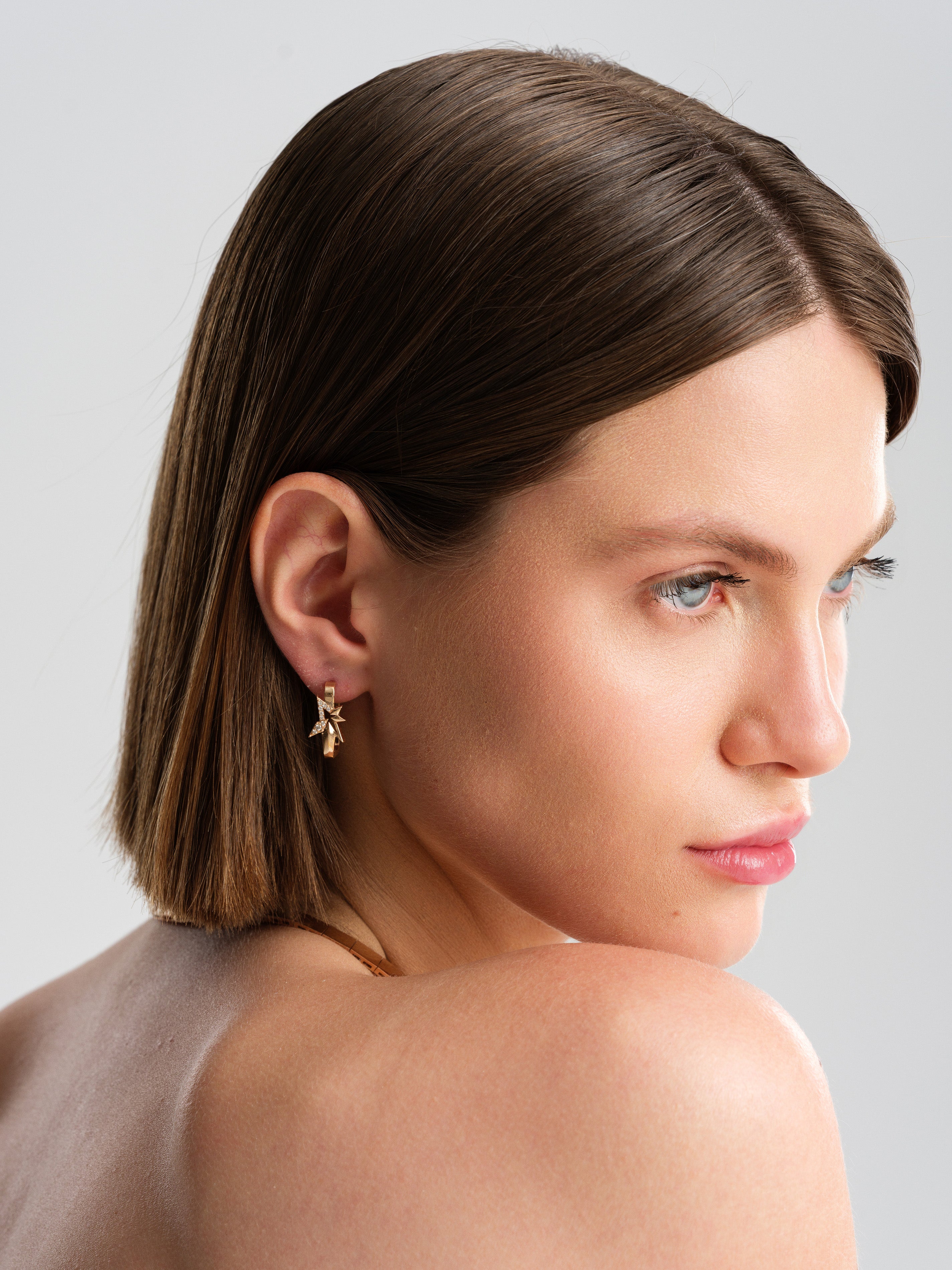 STERN DIAMOND EARRINGS